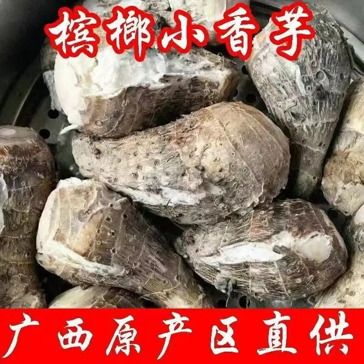新鲜正宗广西紫色芋头小香芋头粉香糯皮薄粉嫩现挖现发香芋芋仔