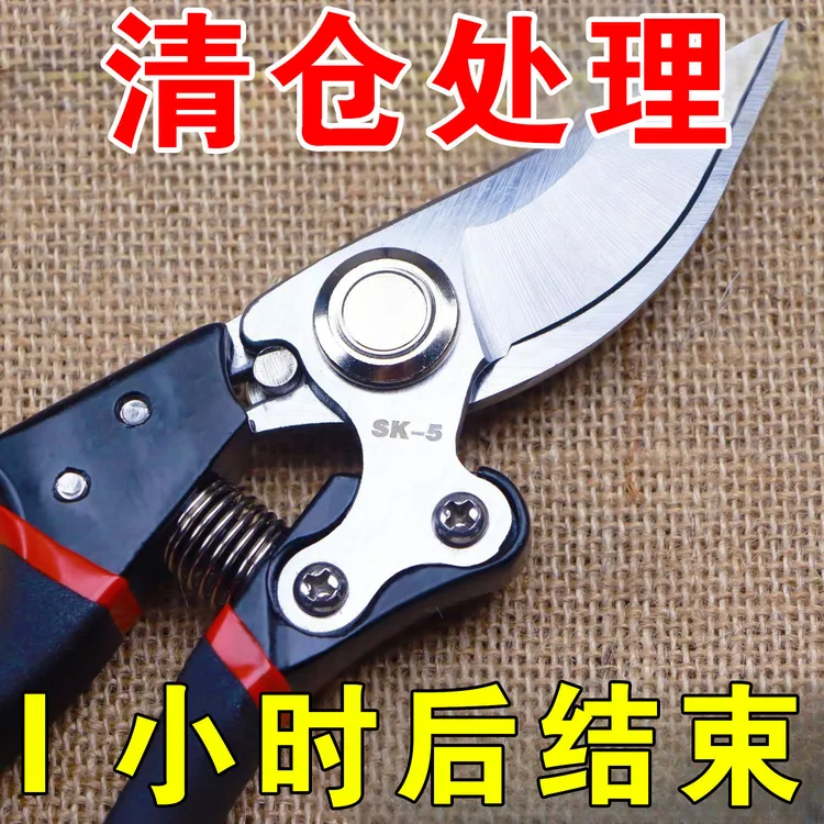 原装日本SK5强力园艺修枝剪新款园林家用省力款花枝园艺剪剪枝