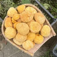 【助农补贴】现收山货椴木小银耳半斤