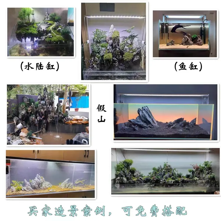 青龙石假山盆景园艺造景景观石水陆鱼缸造景盆栽摆件附树石微景观