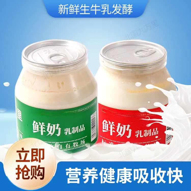 北国九万里经典奶皮子老酸奶内蒙古非冷萃希腊干噎酸奶580G零食