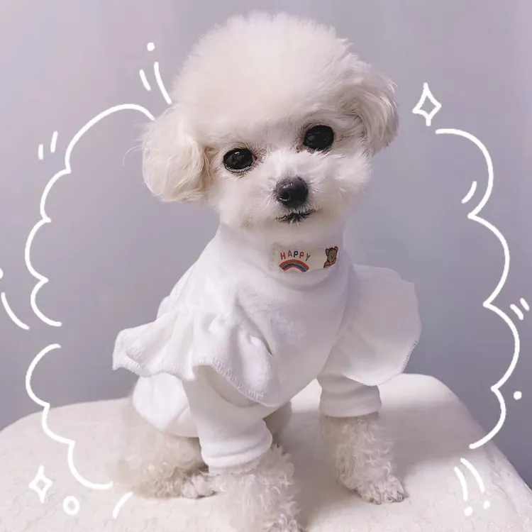 加绒冬款韩版飞袖打底衫宠物衣服比熊泰迪猫狗通用秋冬必备温暖