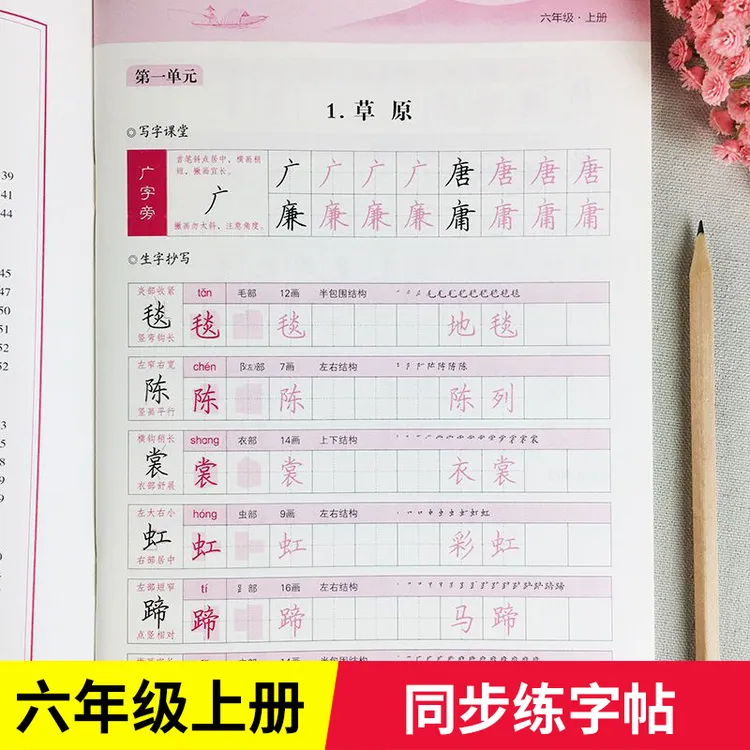 六年级上册同步字帖练字帖部编人教版教材语文写字课课练临摹描红