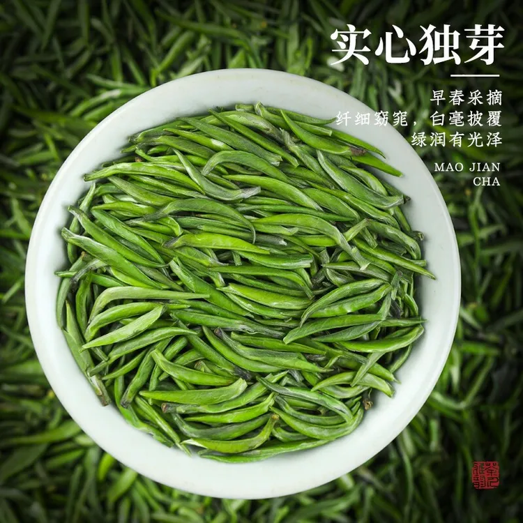 【2025单芽雀舌】明前贵州湄潭翠芽绿茶单芽毛尖雀舌浓香耐泡型QA3