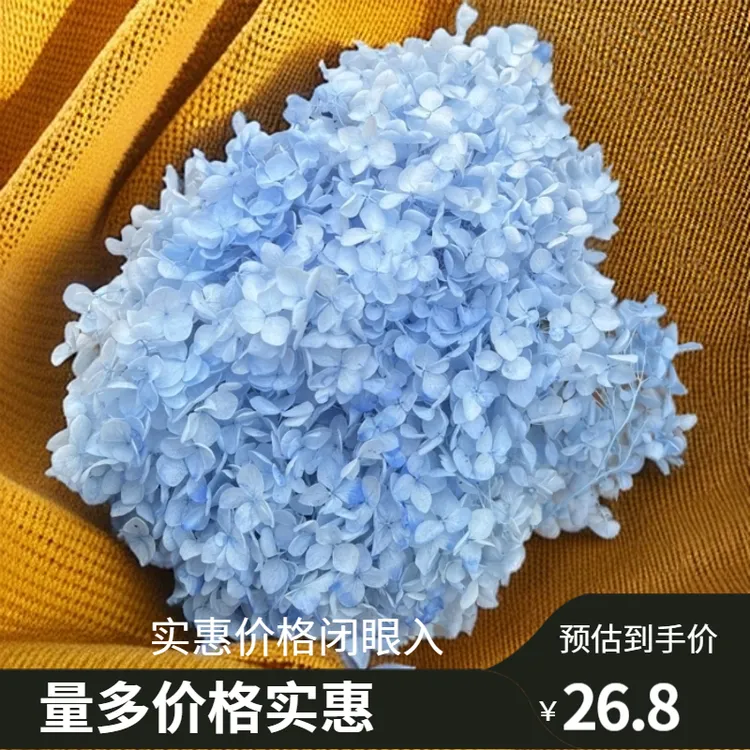 搭配短花绣球花(基本上是花头)手工花材永生花持久 保鲜节日观赏