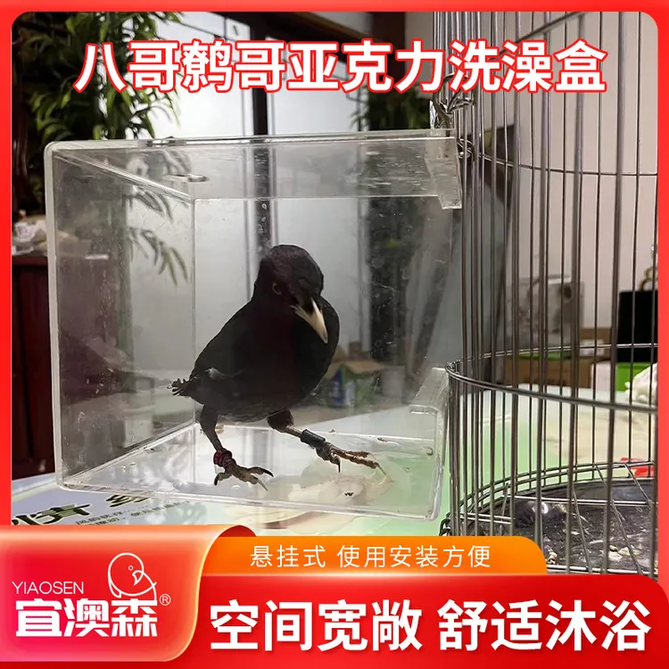 八哥鸟专用亚克力透明洗澡盆鸟用洗澡盒大号鹦鹉浴盆神器鸟笼子
