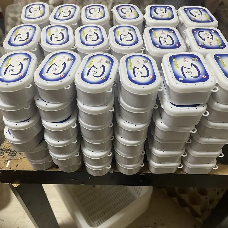 葡萄蜜玉米虫活体蜜虫大蜡螟钓鱼饵鸟粮虫蜥蜴守宫龟仓鼠零食