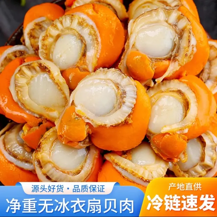 林蓝螺送一包尝鲜发六包扇贝肉带黄带膏无沙无冰新鲜速冻 250g/包