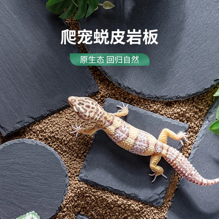 爬宠爬虫造景岩板装饰守宫蜥蜴蜕皮石板垫材黄缘龟天然石板食盆