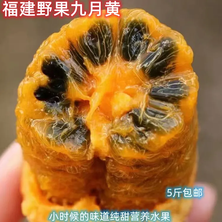 新鲜九月黄野生应季水果拿麻藤包牛卵坨木通果整箱包邮1-5斤装