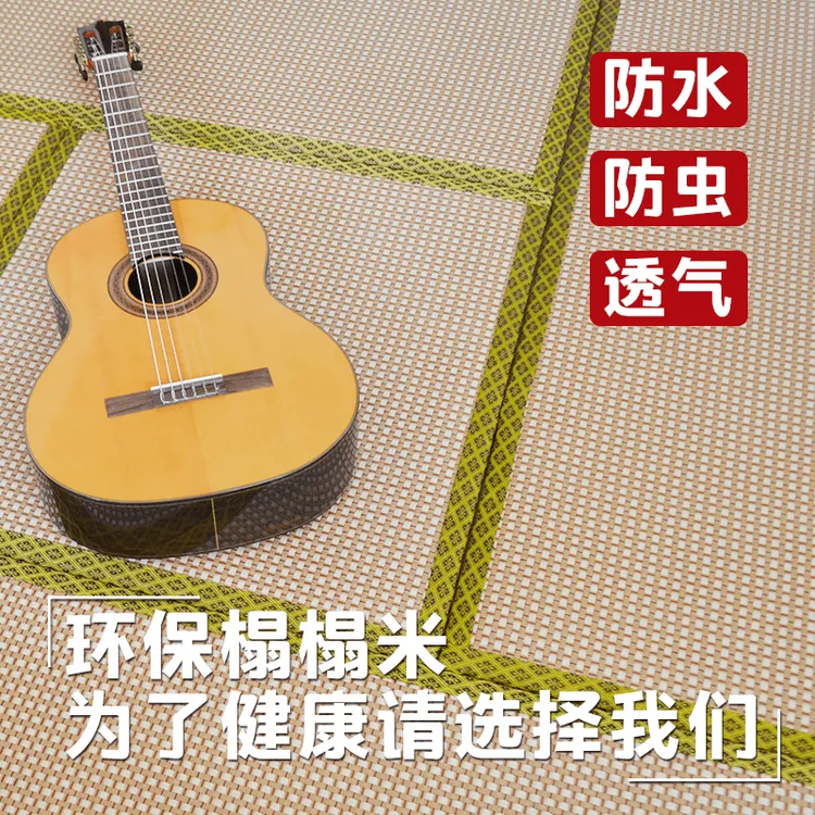 定做双面可拆洗榻榻米椰棕床垫加热垫榻榻米床垫炕垫飘窗垫地垫