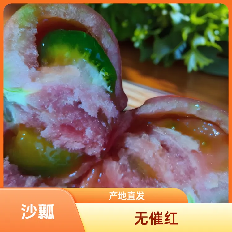老味西红柿沙瓤西红柿生吃自然熟儿时味道番茄酸甜口感孕妇儿童