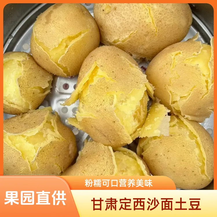 2025新鲜现挖甘肃定西沙面土豆黄心土豆蔬菜高山皮薄粉面好吃