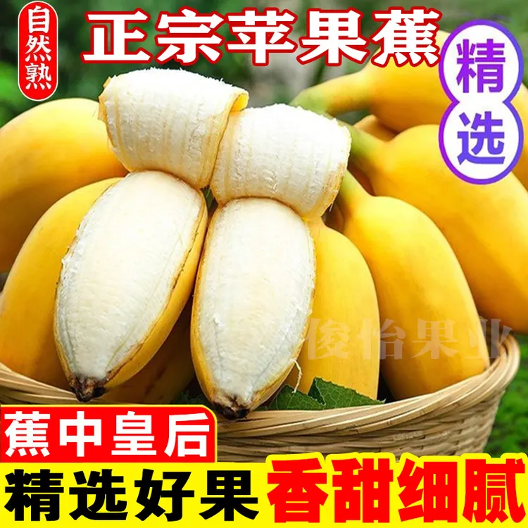 俊怡广西香甜苹果蕉产地发当季新鲜水果时令特产西贡香蕉3/5/9斤