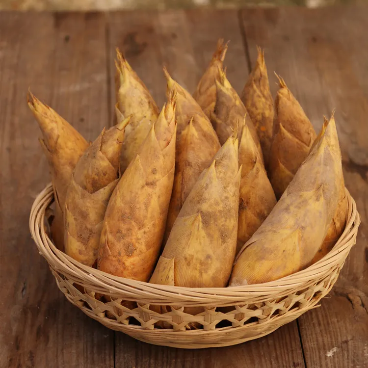 大冬笋5斤楠竹笋大鲜笋肉厚脆鲜嫩饱满3斤新鲜2斤商品图