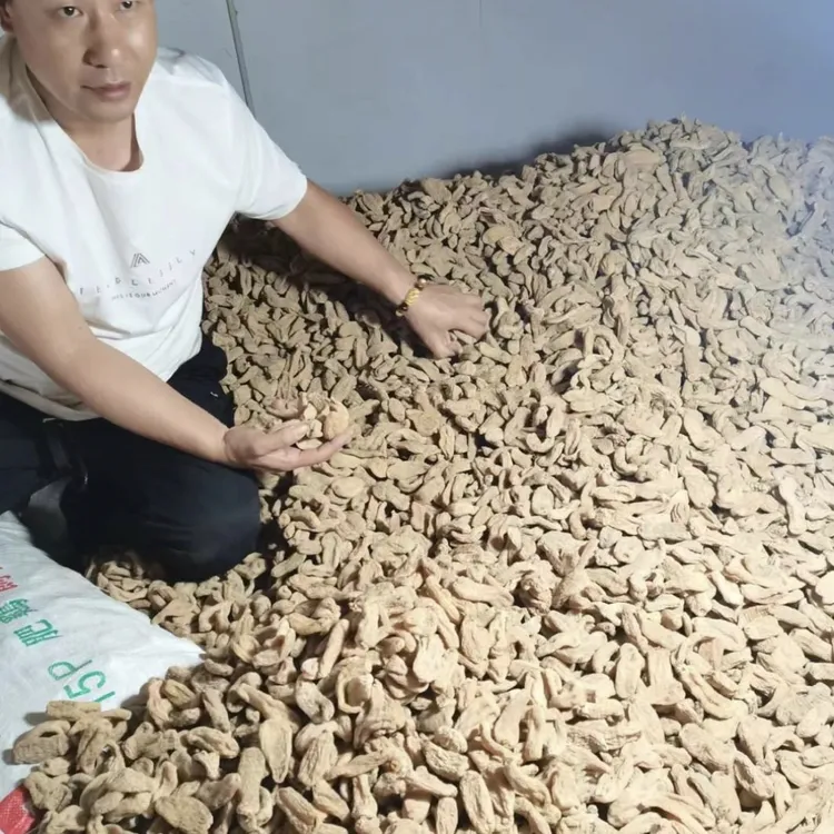 云南昭通 小草坝天麻粉代客磨粉