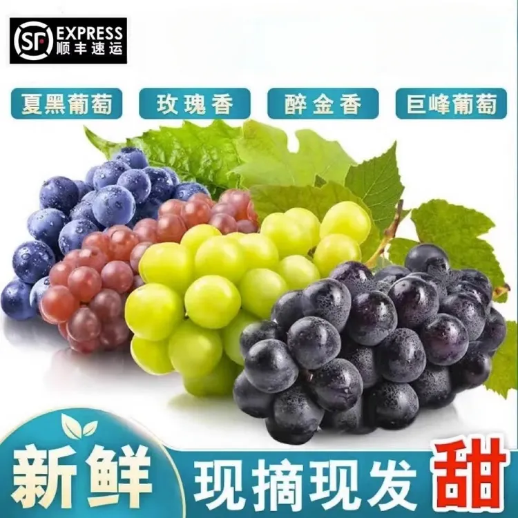新鲜葡萄礼盒装醉金香奶油巨峰玫瑰夏黑拼箱水果现货空运