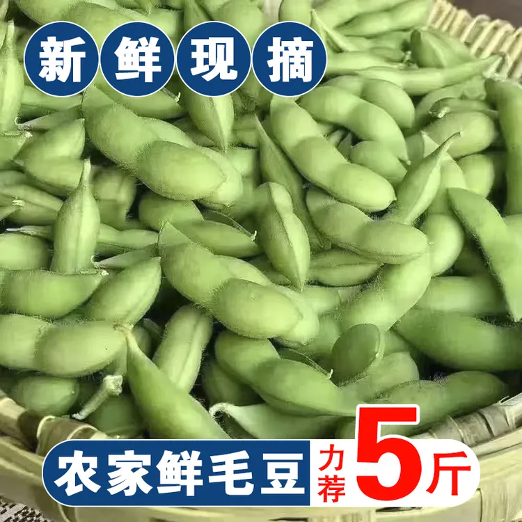 毛豆新鲜毛豆现摘农家蔬菜带壳新鲜毛豆毛豆新鲜1-5斤嫩毛豆
