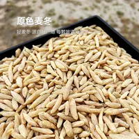 【果色优选】生态自然麦冬入伏原产地大颗粒麦冬长粒饱满无硫煲汤