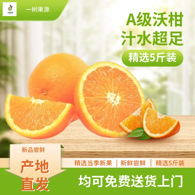 【一树果源·甄选】产品送货橘子小金桔广西沙糖桔武鸣A级鲜甜沃柑