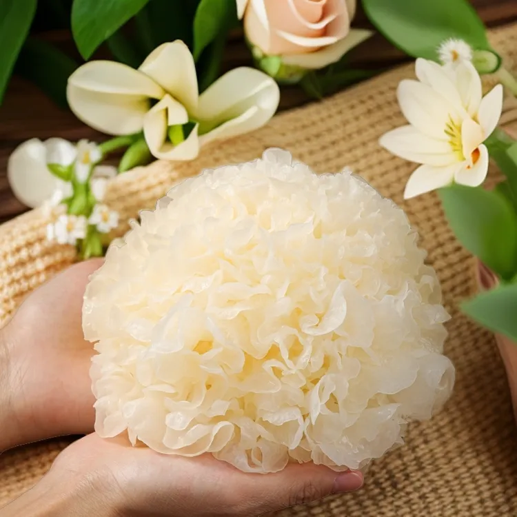 白木耳银耳新鲜深山种植3朵408克6朵808克顺丰京东直播卖货第一名