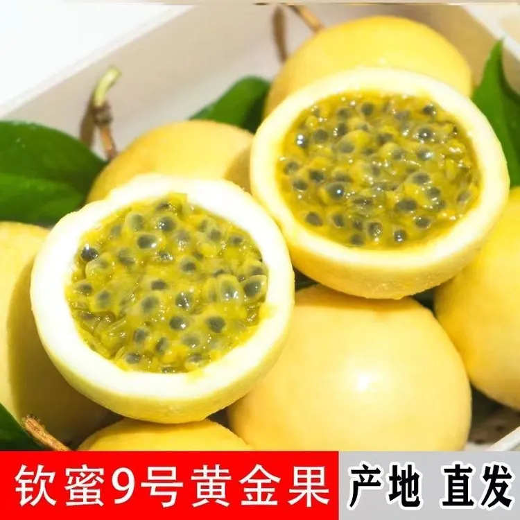 【自家果园】广西正宗钦蜜9号黄金百香果营养多汁产地直发新鲜采摘