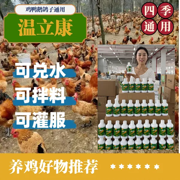 温立康【多买多送】鸡鸭鹅常备家禽专用液态添加剂250ml补充营养