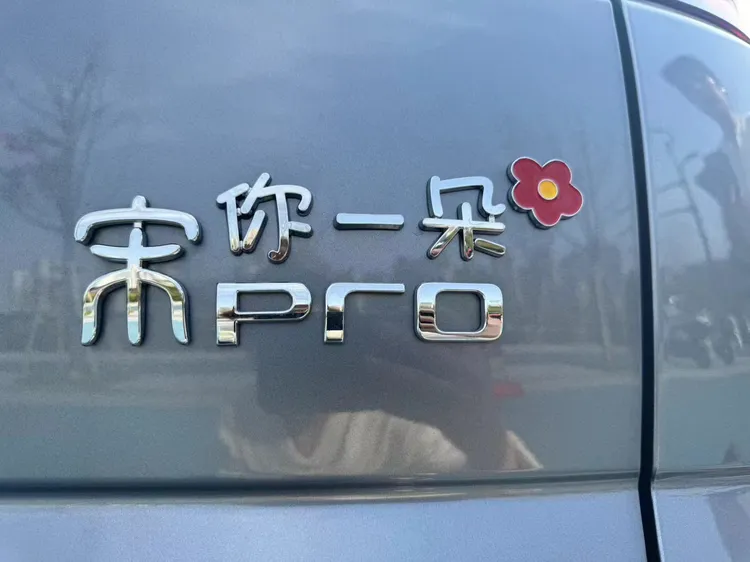 比亚迪宋你一朵花宅宋ProPLus个性装饰贴尾标改装3D立体汉字车贴