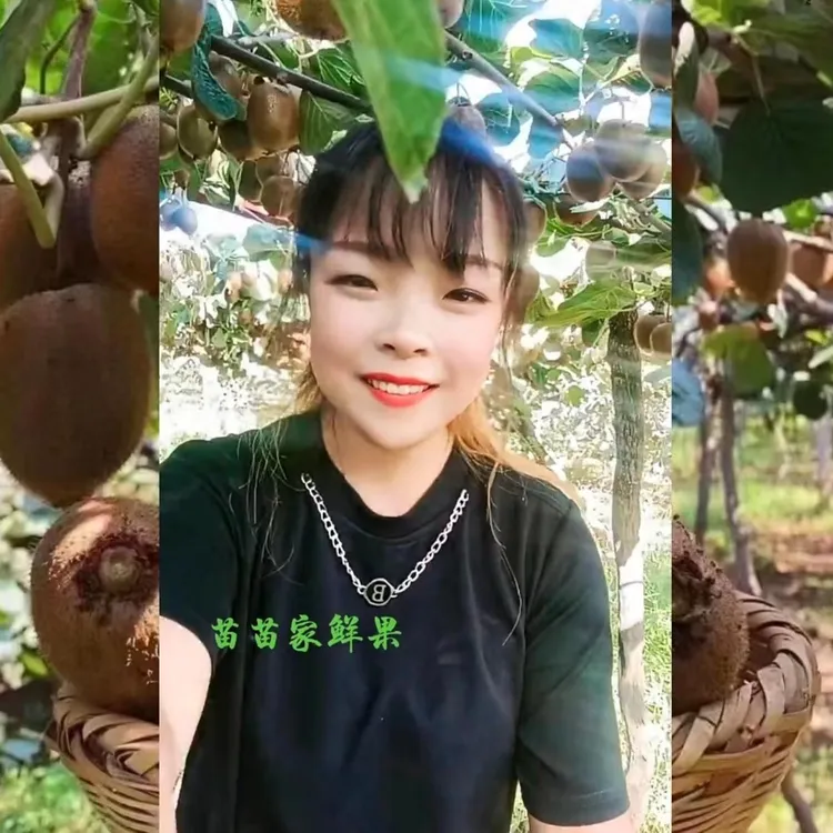 正宗陕西眉县徐香猕猴桃新鲜优选采摘原产地孕妇水果整箱包邮