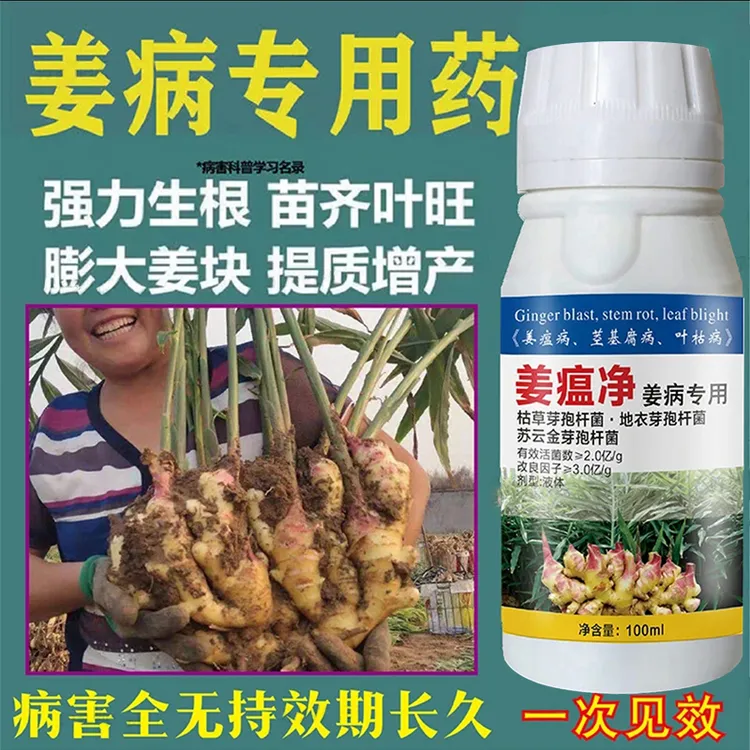 姜瘟净姜瘟专用姜瘟灵生姜杀菌剂大姜烂脖子病茎基腐病杀菌剂绿色