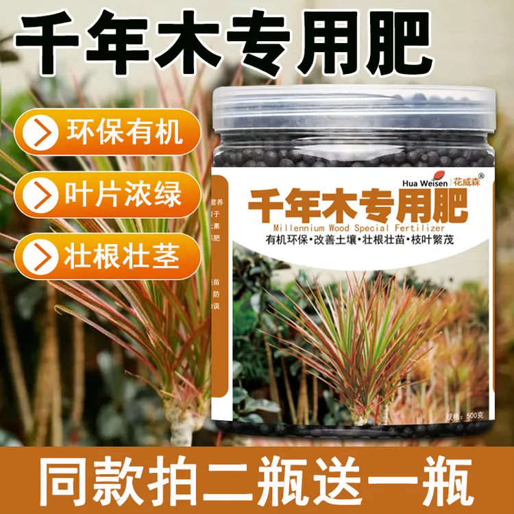 千年木专用肥料专用营养液马尾铁三色铁五彩七彩复合有机肥缓释肥