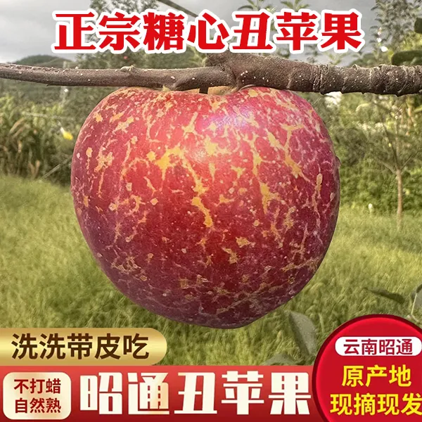昭通冰糖心丑苹果红露脆甜多汁应季新鲜水果现摘现发产地直发