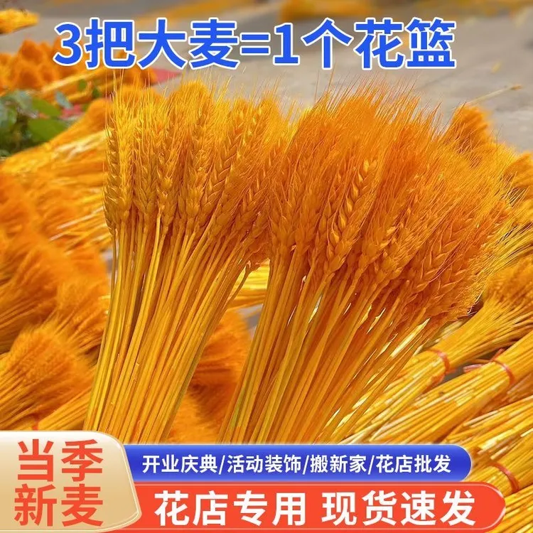 【花和尚】精品A级粗杆黄金大麦穗干花束开业花篮开业装饰插花摆件