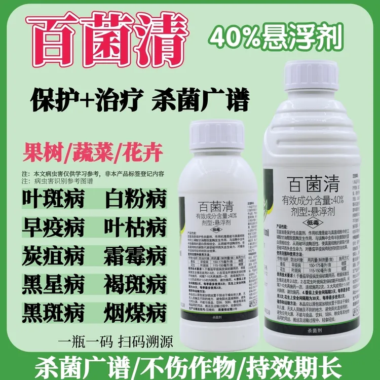 40%百菌清杀菌剂果树蔬菜花卉叶斑病黑斑病炭疽病白粉病锈病用药