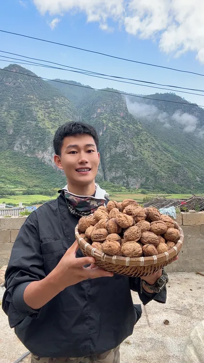 云南老树山核桃不熏硫 不泡药水