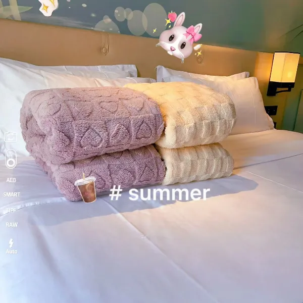 紫色米色塔芙绒加厚毯子办公室午休毯沙发卧室床上用小毯子空调毯