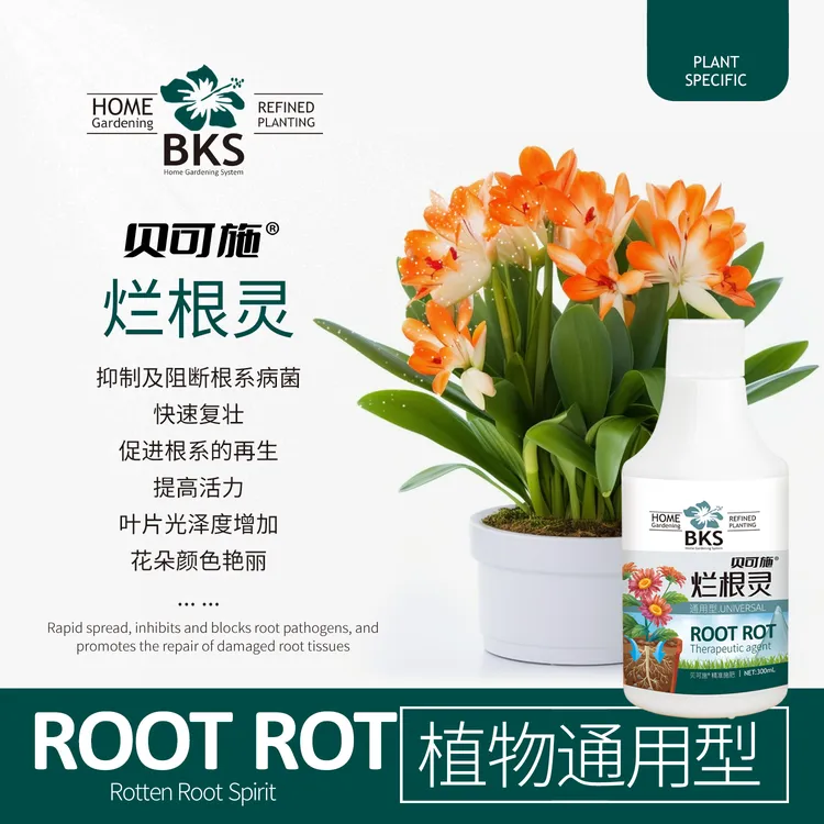 贝可施烂根灵300ML/瓶解决根部浇水引起烂根腐立枯根系弱不长枯萎