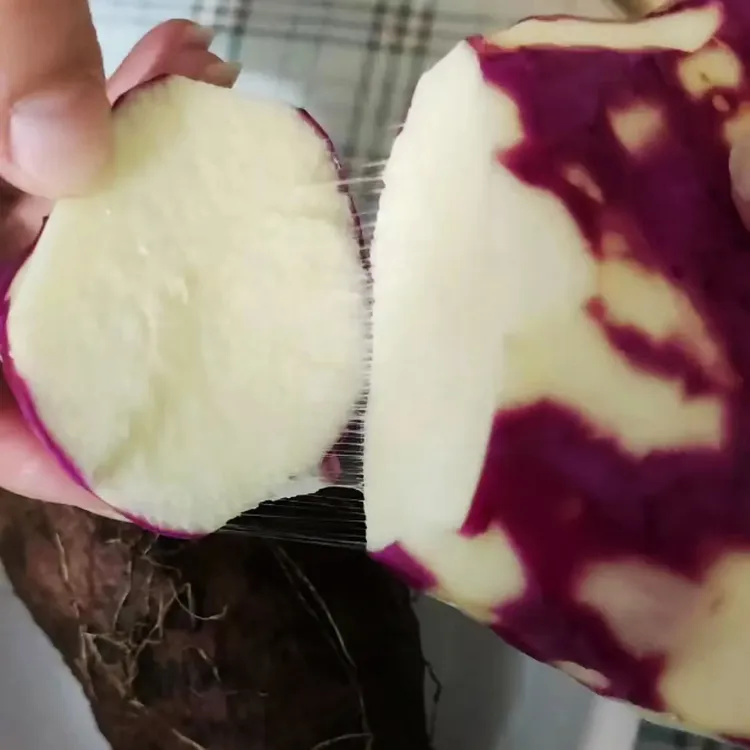 新鲜现挖农家蔬菜脚板薯紫山药淮山紫皮白肉粉糯大署毛薯