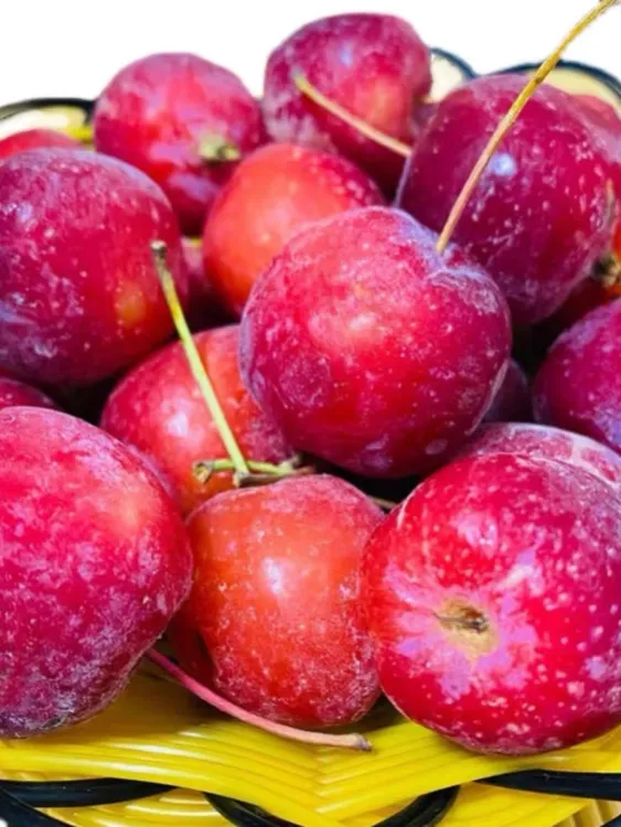 东北冻花红果3斤装大小随机