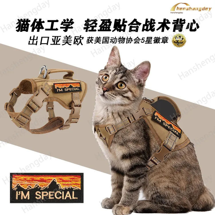 猫咪牵引绳胸背带战术背心式外出防挣脱可调节轻透户外遛猫牵引绳