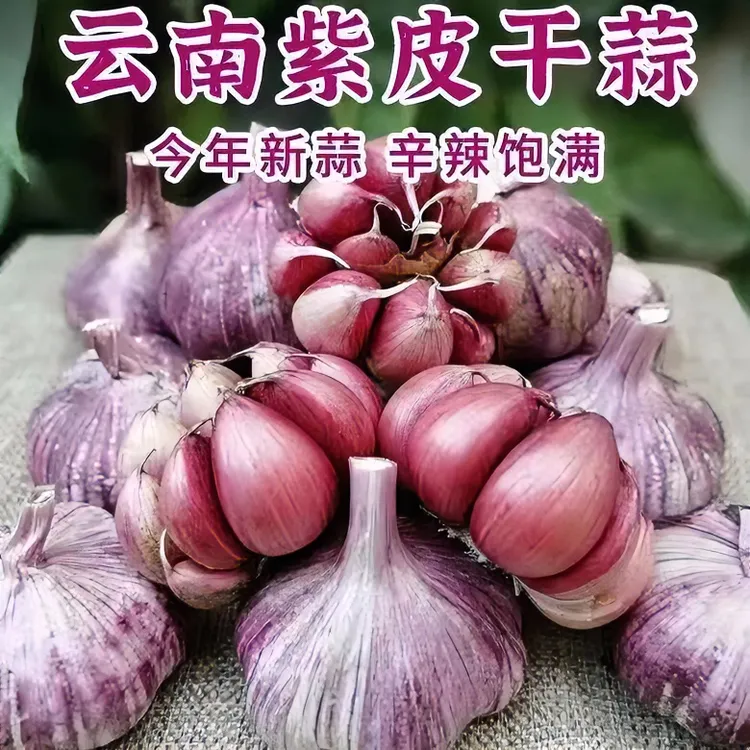 【紫皮干蒜】云南产地直发紫皮大蒜农家自种香辣红皮蒜泡糖醋蒜