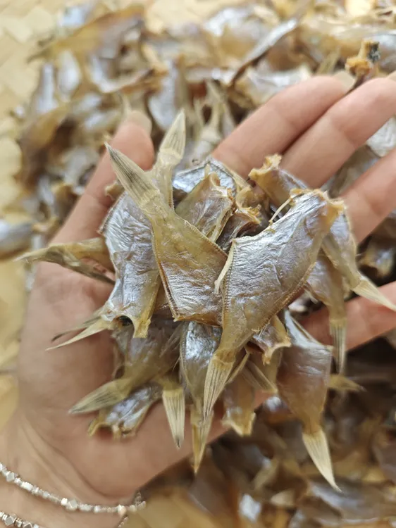 汕尾海陆丰特产迪仔鱼干剥皮鱼干海鲜干货敌仔鱼干