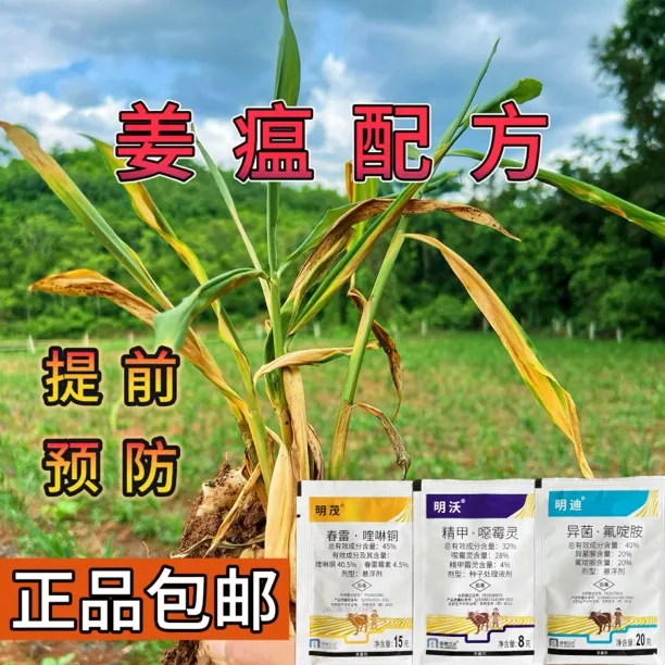 大姜生姜姜瘟预防三袋一套兑水30斤姜瘟青枯根腐病茎基病