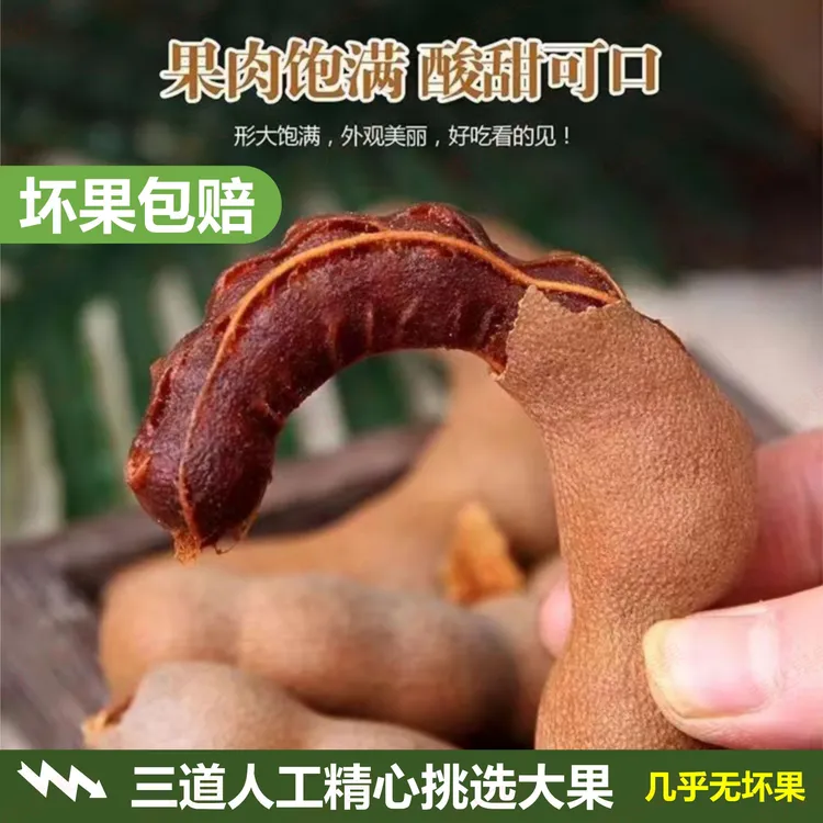 酸角云南特产新鲜甜酸角罗望子休闲孕妇零食蜜饯果脯散装带壳甜角