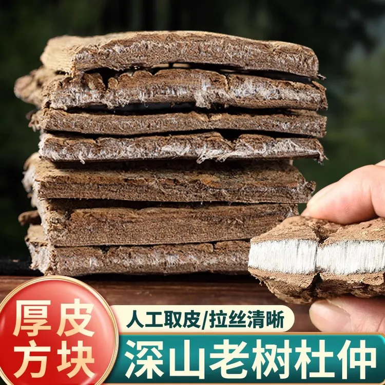 老树龄杜仲厚肉拉丝煲汤料正品干杜肿杜仲皮树皮泡茶煮水滋补新货