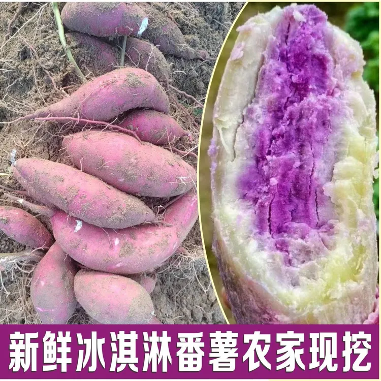 广东正宗冰淇淋番薯紫心薯一点红番薯粉糯香甜2-9斤现挖现发包赔