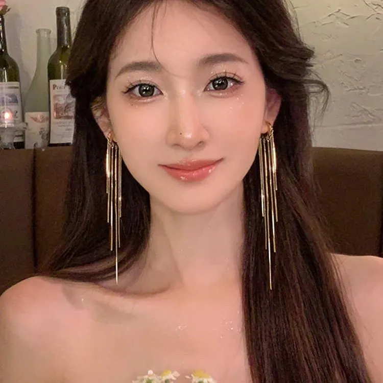 合金耳饰 显脸瘦长款流苏耳环女小众轻奢耳钉简约气质高级感耳饰