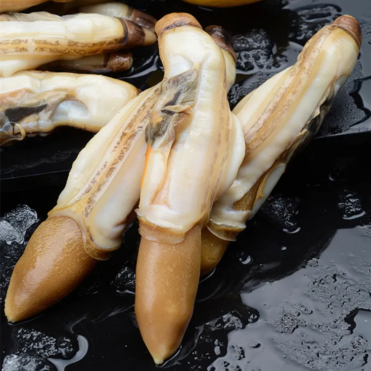 新鲜现剥无沙大个蛏王肉8包*200g每包味道鲜美码头产地顺丰冷链