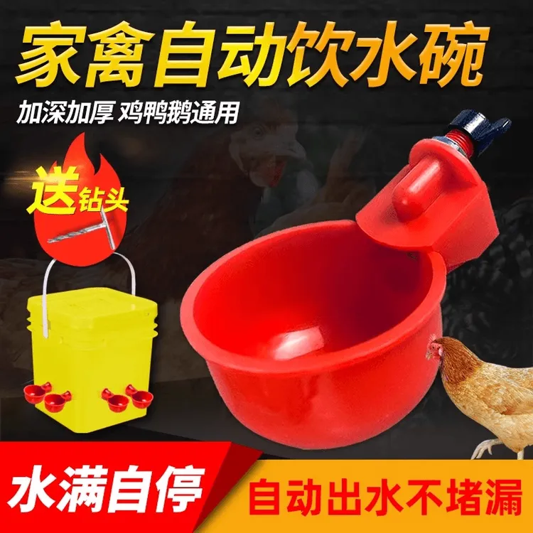 养鸡用自动饮水器鸡鸭鹅饮水碗喝水碗鹌鹑家禽鸟鸽子喂食神器养殖