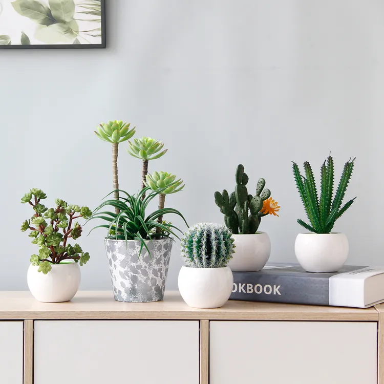 创意室内桌面假花仿真绿植装饰摆件家居茶几植物盆栽仙人掌盆景